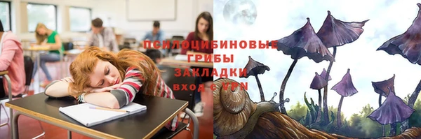 spice Алзамай