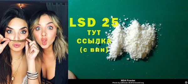 spice Алзамай