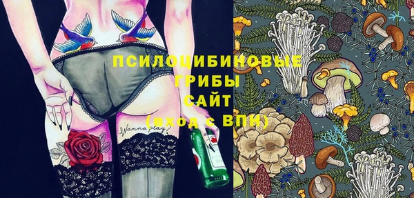 spice Алзамай