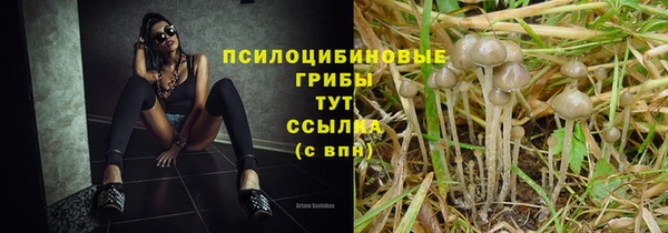 spice Алзамай